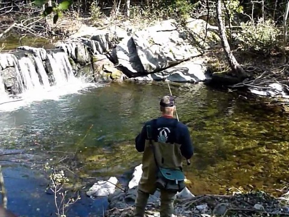 un moment de détente  pêche de la truite  et cueillette  morilles
