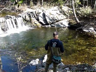 un moment de détente  pêche de la truite  et cueillette  morilles