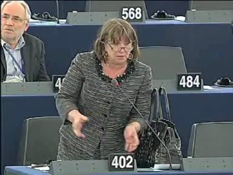 Norica Nicolai on Enlargement report for Bosnia and Herzegovina