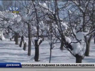 Dnevnik, 12.  februar 2012.