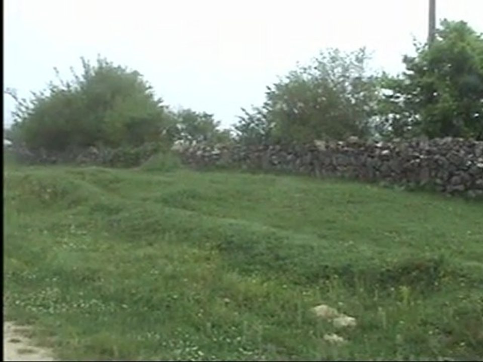 sarı gelin