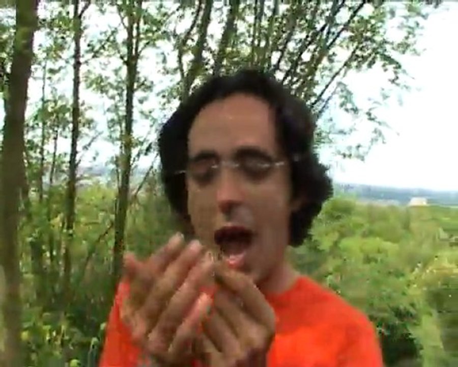 Pourrisseur papillon