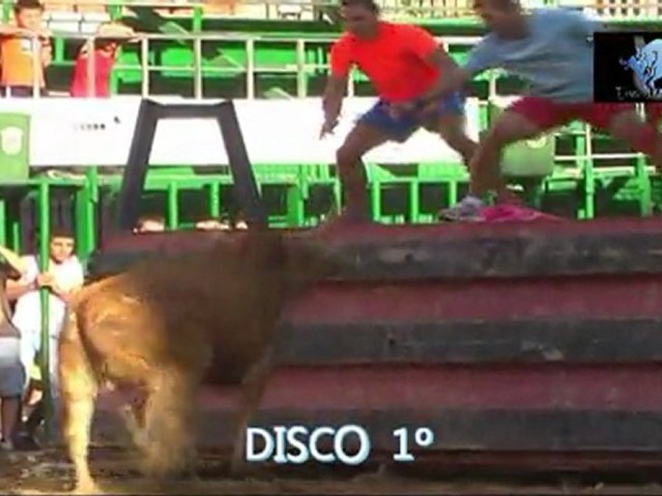 Trailer  Del nuevo Dvd  Desafios y Vacas de la 4ª parte dvd 1º