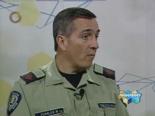 Soluciones ante una Invasión: Pasos a Seguir