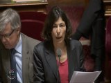 1er février - Amendement de suppression pour défaut de concertation du service public départemental de l'insertion des personnes majeurs