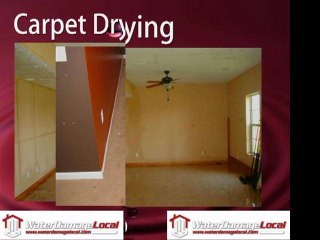 Carpet Drying San Diego