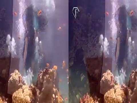 3D Underwater Photoshoot in Eilat with F Vodka | FashionTV