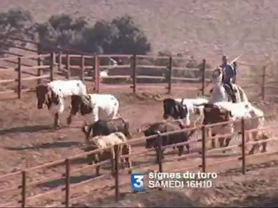 BANDE ANNONCE SIGNES DU TORO 17/03/12