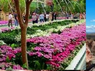 Real Estate Investment LasVegas Nevada