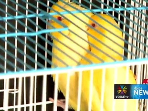 Voice News ประจำวันที่ 15 มีนาคม 2555 (22.00 น.-23.00 น.)