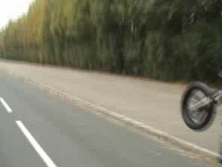 stunt dr alex