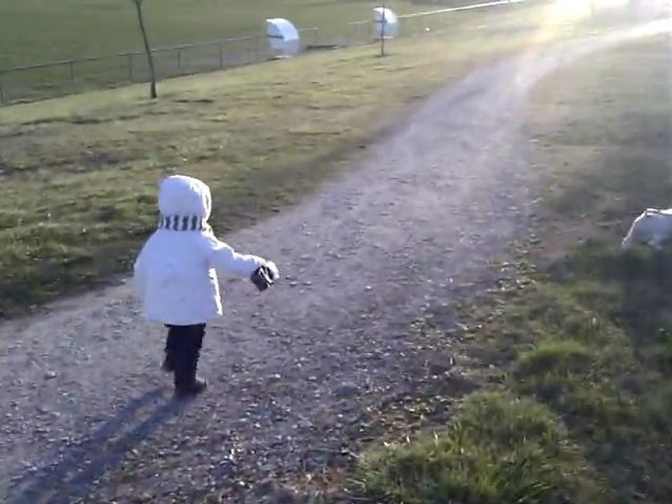 VID_20120309_181140
