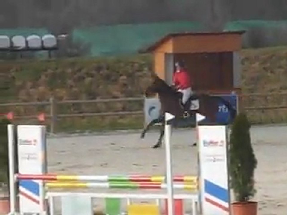 Up Lady de Barbereau CC CSO Sandillon mars 2012 1er jour