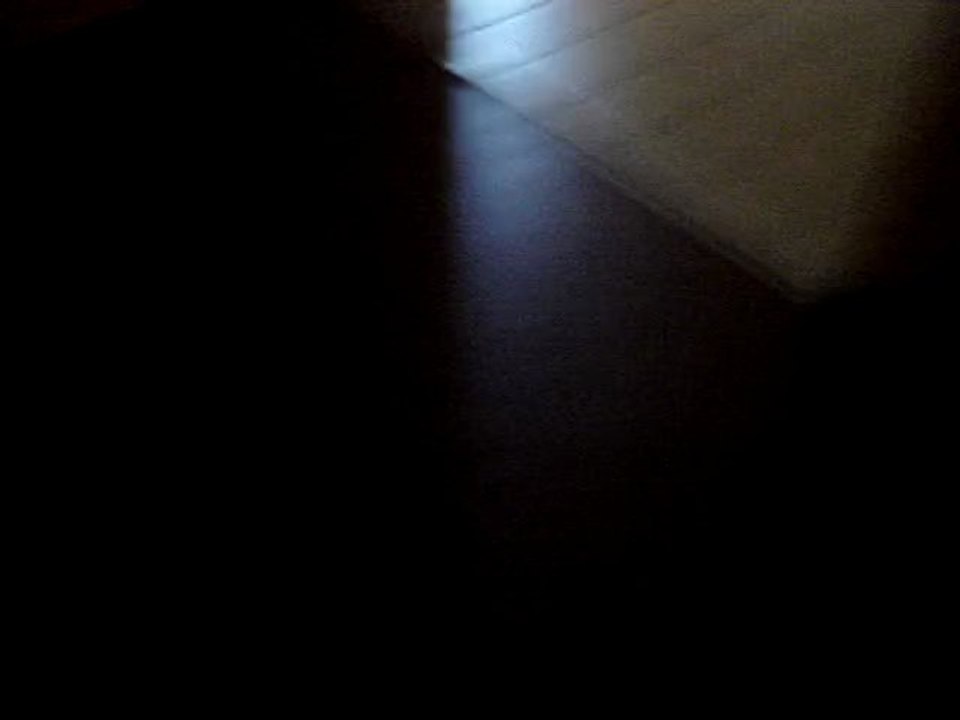 fête des gestes (1)