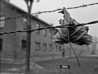 Haberin Var mı Taş Duvar-Bir Ahmed Arif Şiiri