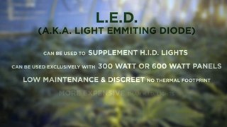 Light - Marijuana Lighting - Lights For Growing Marijuana - 10