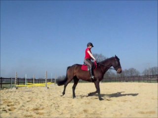 Séance de plat du 15 Mars 2012