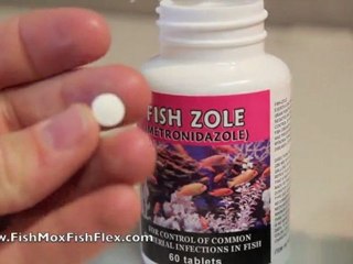 Fish Zole Metronidazole 250 mg Fish Antibiotic