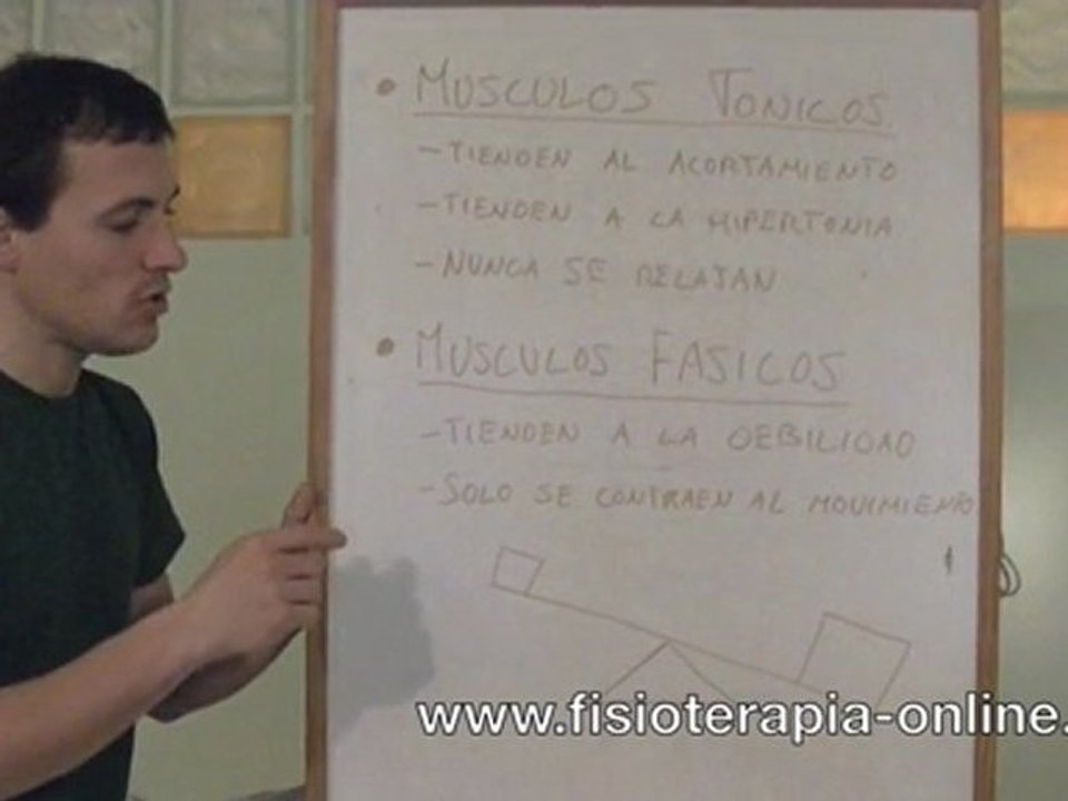 Estiramientos en músculos tónicos y músculos fásicos.
