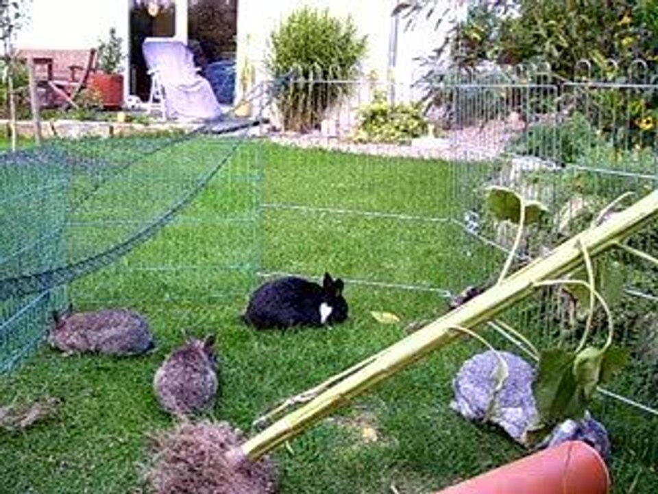 Blässi hört auf SEINEN Namen