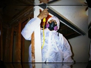 mold removal toronto