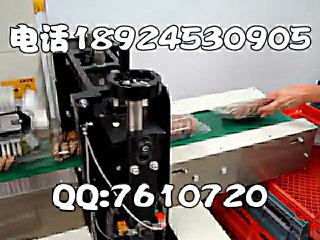 biscuit packaging machine-250