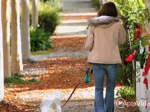 Saddle Ridge Apartments in Houston, TX - ForRent.com