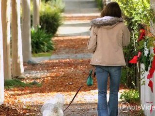 Saddle Ridge Apartments in Houston, TX - ForRent.com