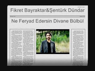 Ne Feryad Edersin Divane Bülbül