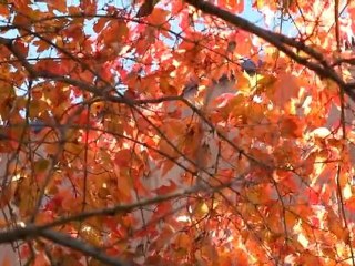 Oneupweb: Keep it interesting or be ignored