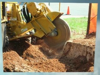 Reliable Tree & Stump Removal (504) 628-3694