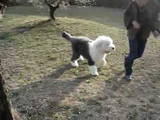 krumble pie of snowboot bears 5 mois.