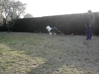 krumble pie of snowboot bears 5 mois.