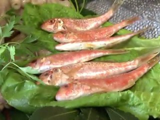 Restaurante, marisquería - Majadahonda - Marisquería Faro Vidio