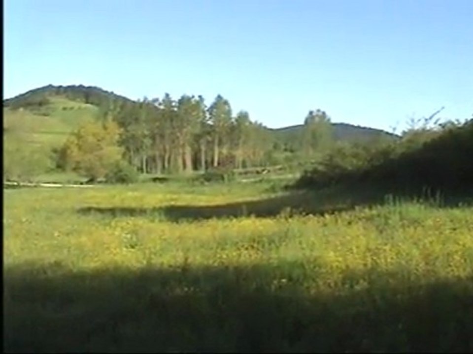 Kerbela çölünde...