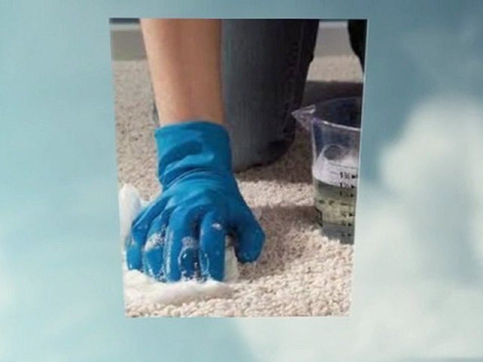 Carla's Cleaning Service - (334) 742-0361
