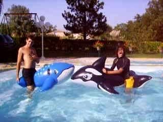 la guerre dé baleines