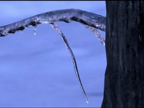 Vor 70 Millionen Jahren - March of the Dinosaurs_ Part 5