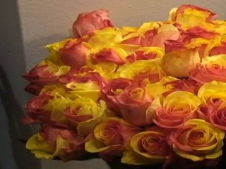 Rosas ecuatorianas para Nueva York
