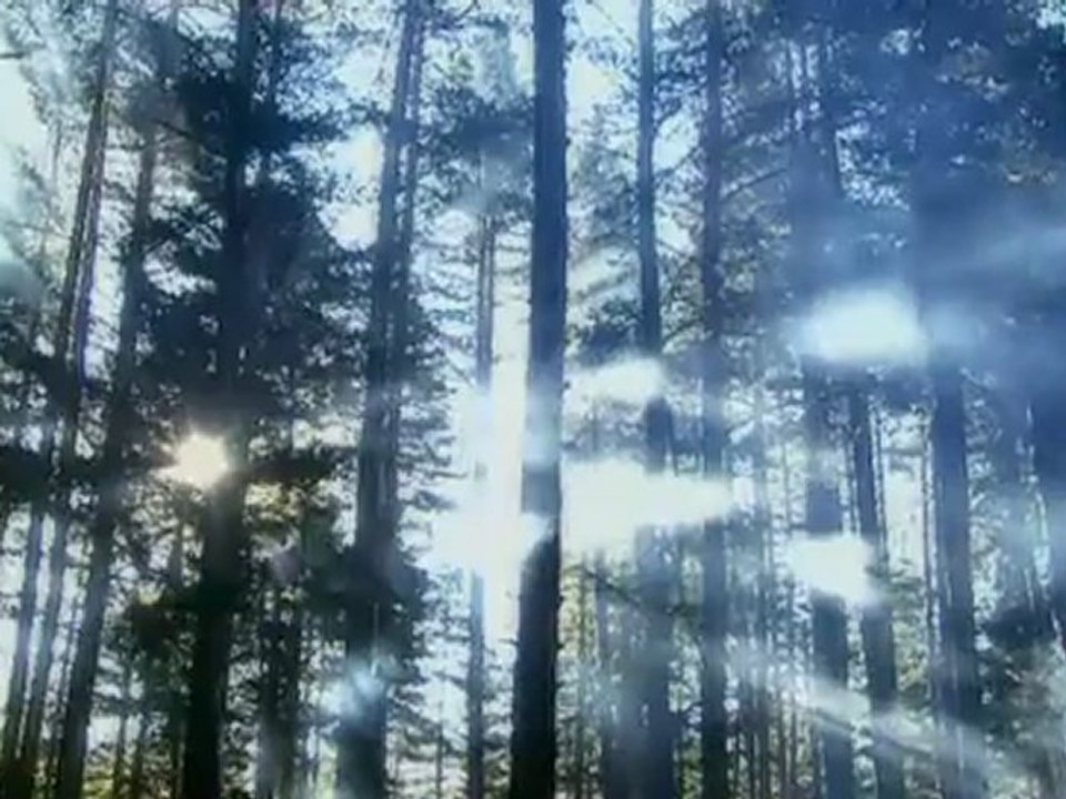 Part 04 of 06 - Julius Caesar - Critical moment 16 Ancient Rome The Rise and Fall of an Empire