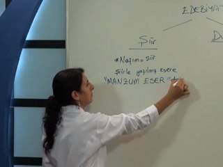 goruntulu-lys-edebiyat