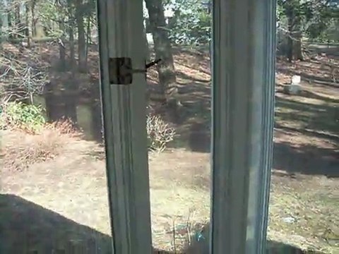 Needham, mass, painter interior 1-904-501-9990