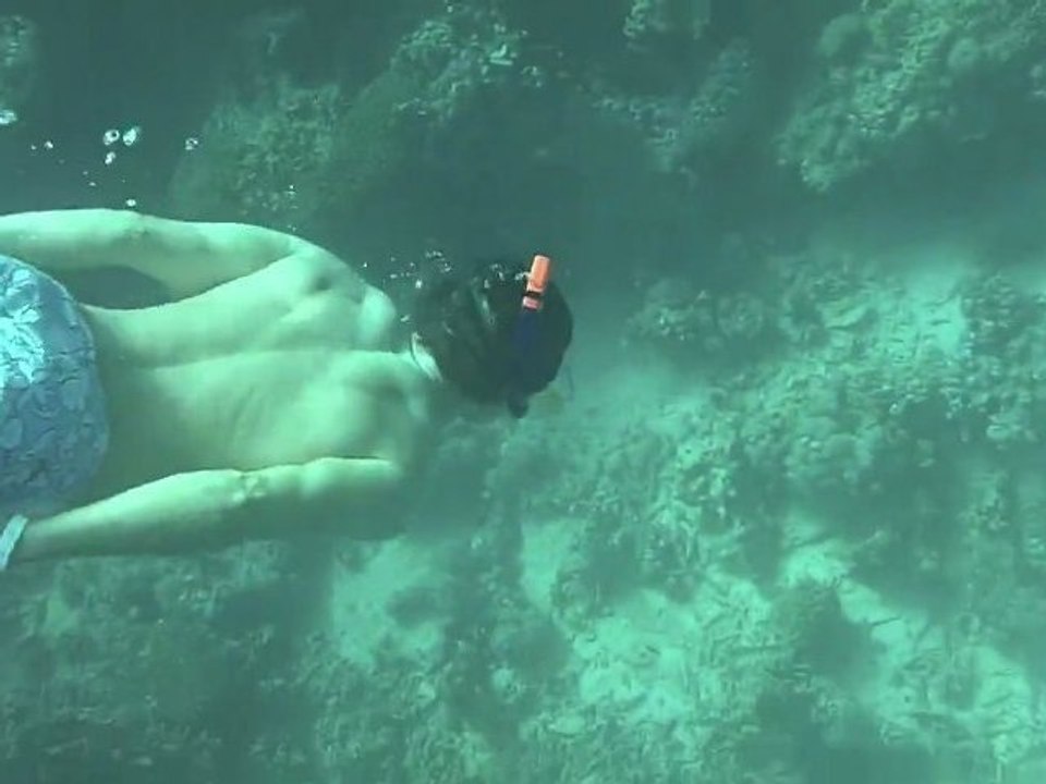 Red Sea / Rouge Rouge - Snorkeling