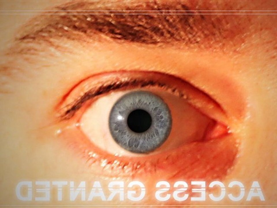 Biometric identification