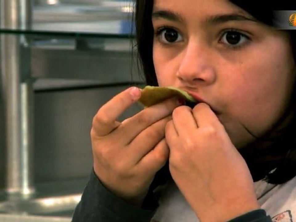 bio dans les cantines de saint etienne100% de produits bio dans les cantines scolaires : un objectif inatteignable ?