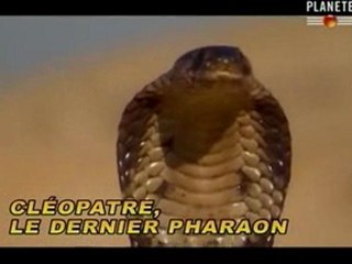 Cleopatre, le dernier pharaon