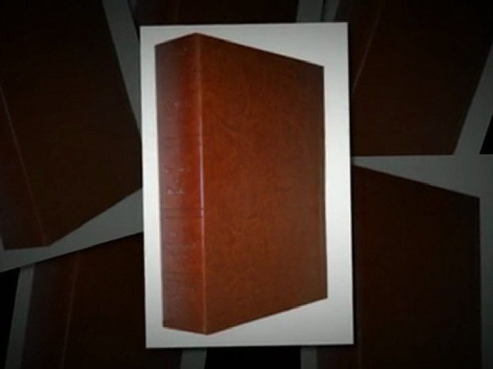 New International Version Bibles