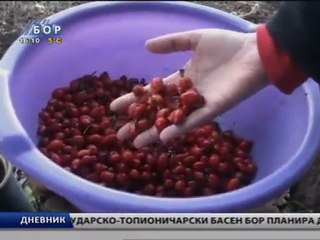 Dnevnik, 22, januar 2012.