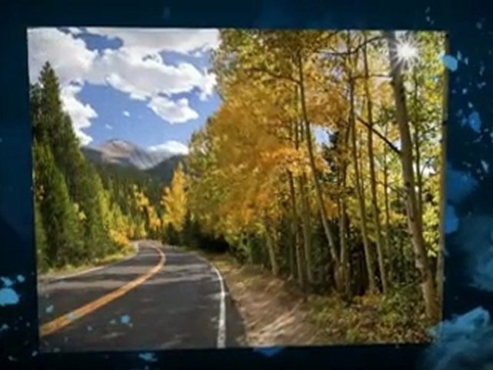 Avoid Foreclosure NOW