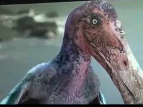 Vor 70 Millionen Jahren - _ Pterosaur Looney Tunes